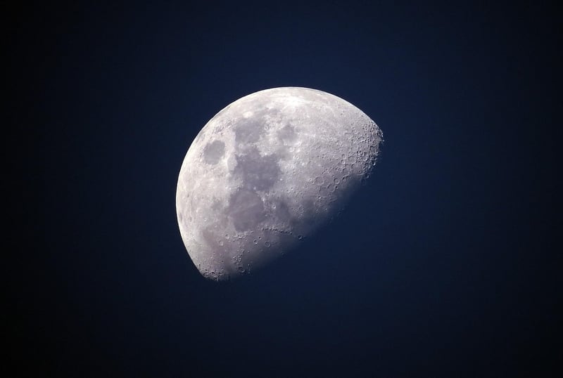 Lunar Elegance
